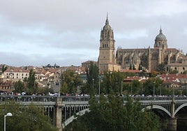 Marcha contra el Cáncer 2024
