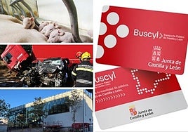 Las noticias imprescindibles de Salamanca este martes 28 de octubre