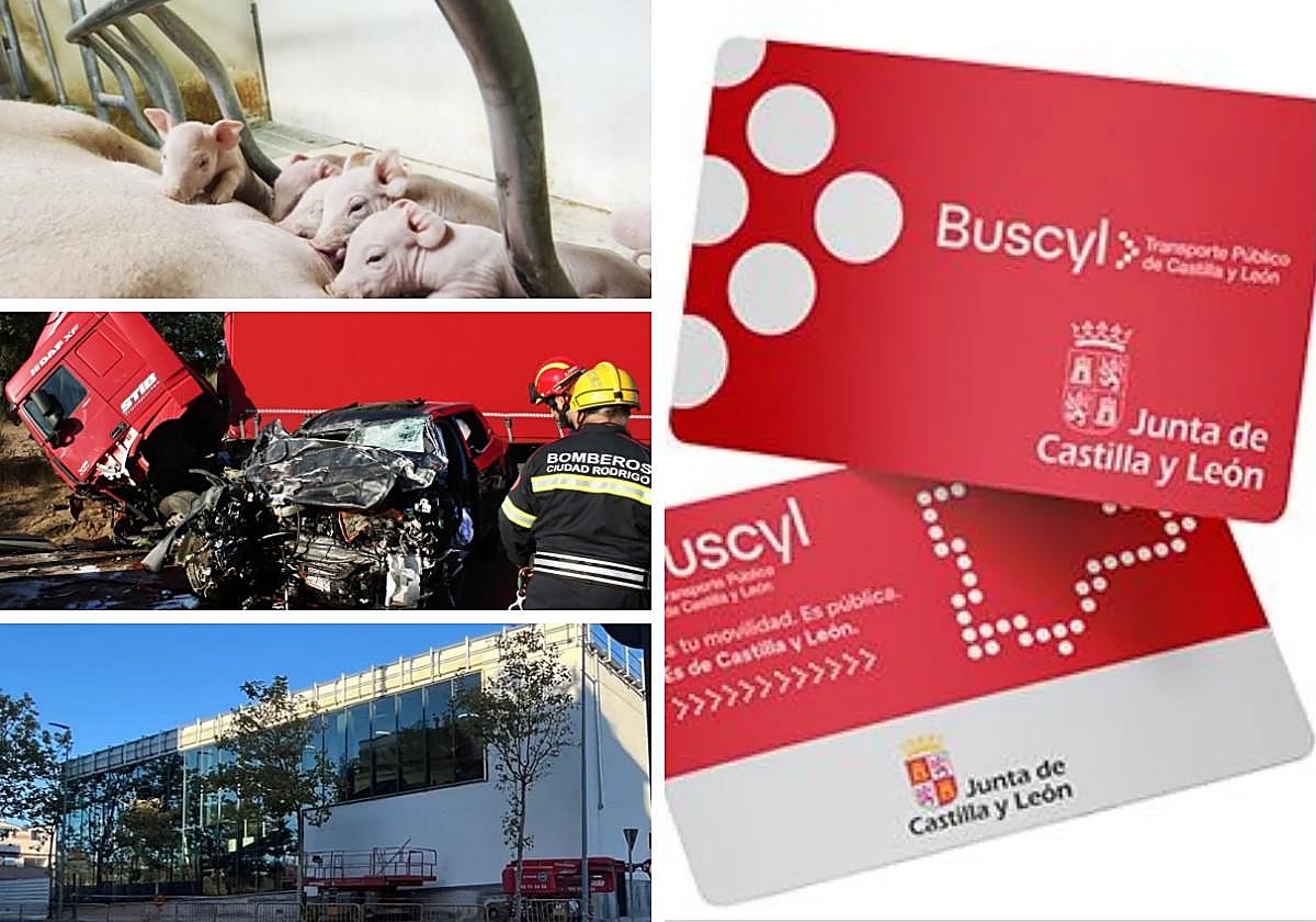 Las noticias imprescindibles de Salamanca este martes 28 de octubre