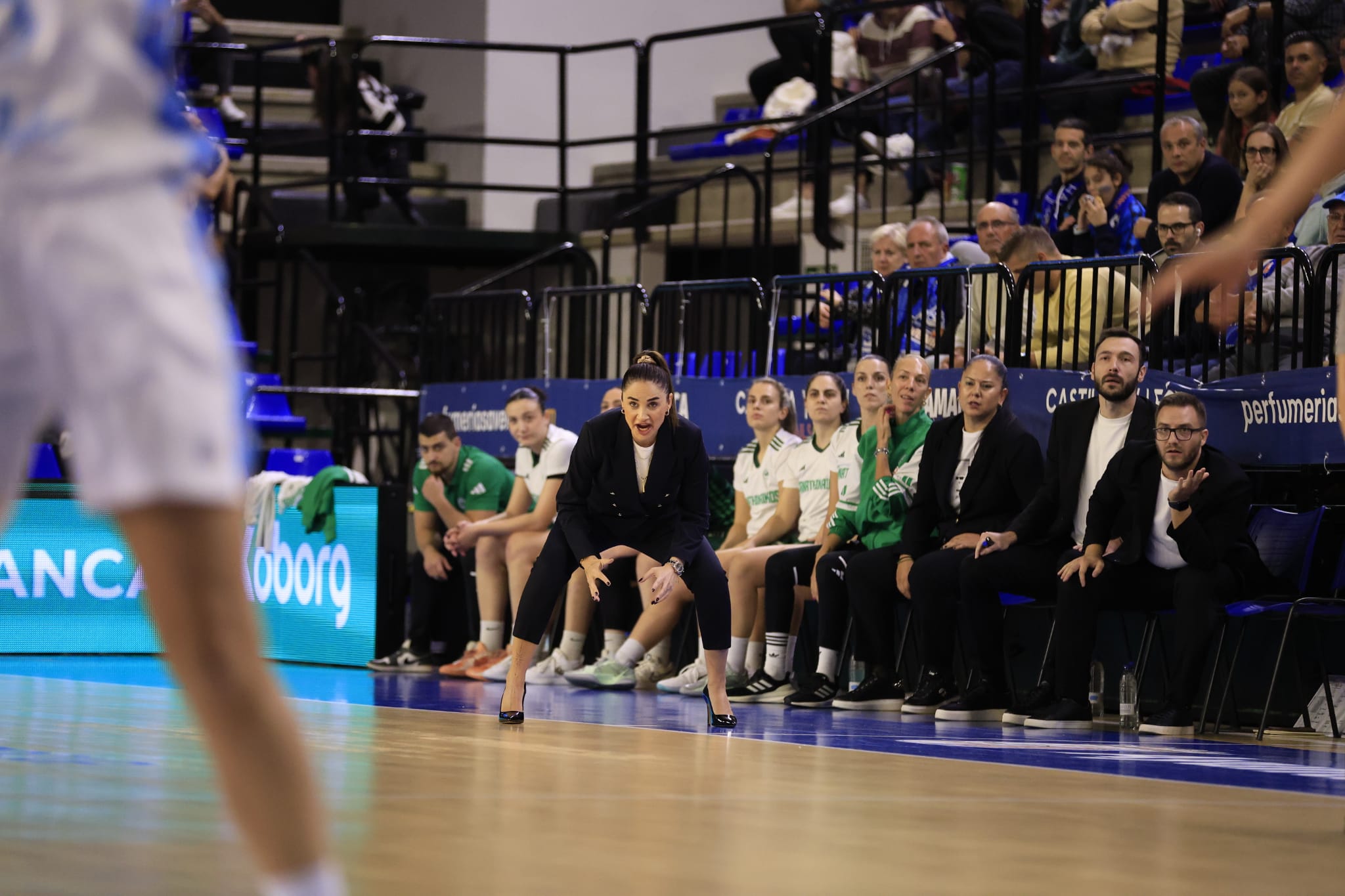 El partido entre Avenida y el Panathinaikos, en imágenes