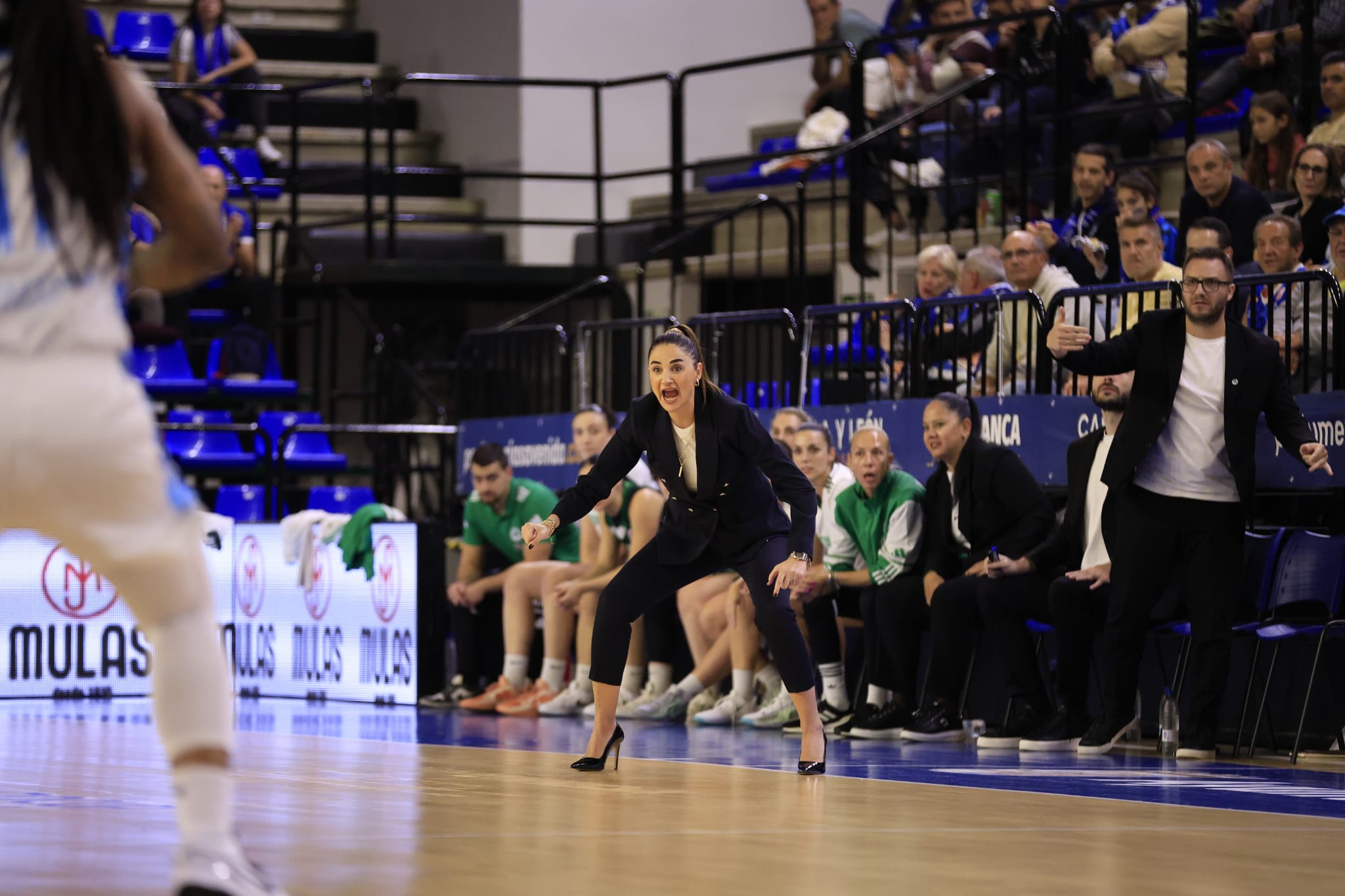 El partido entre Avenida y el Panathinaikos, en imágenes