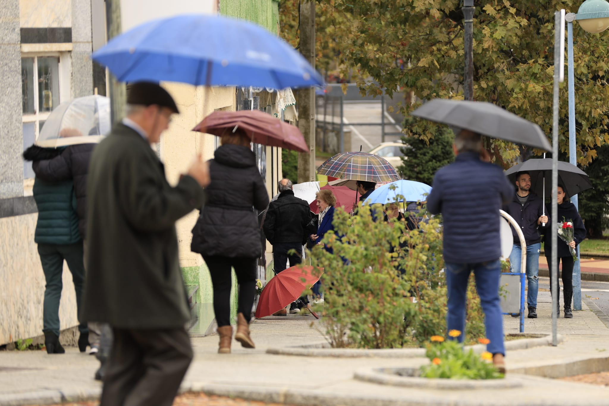 El día de Todos los Santos se celebra bajo el paraguas en Salamanca