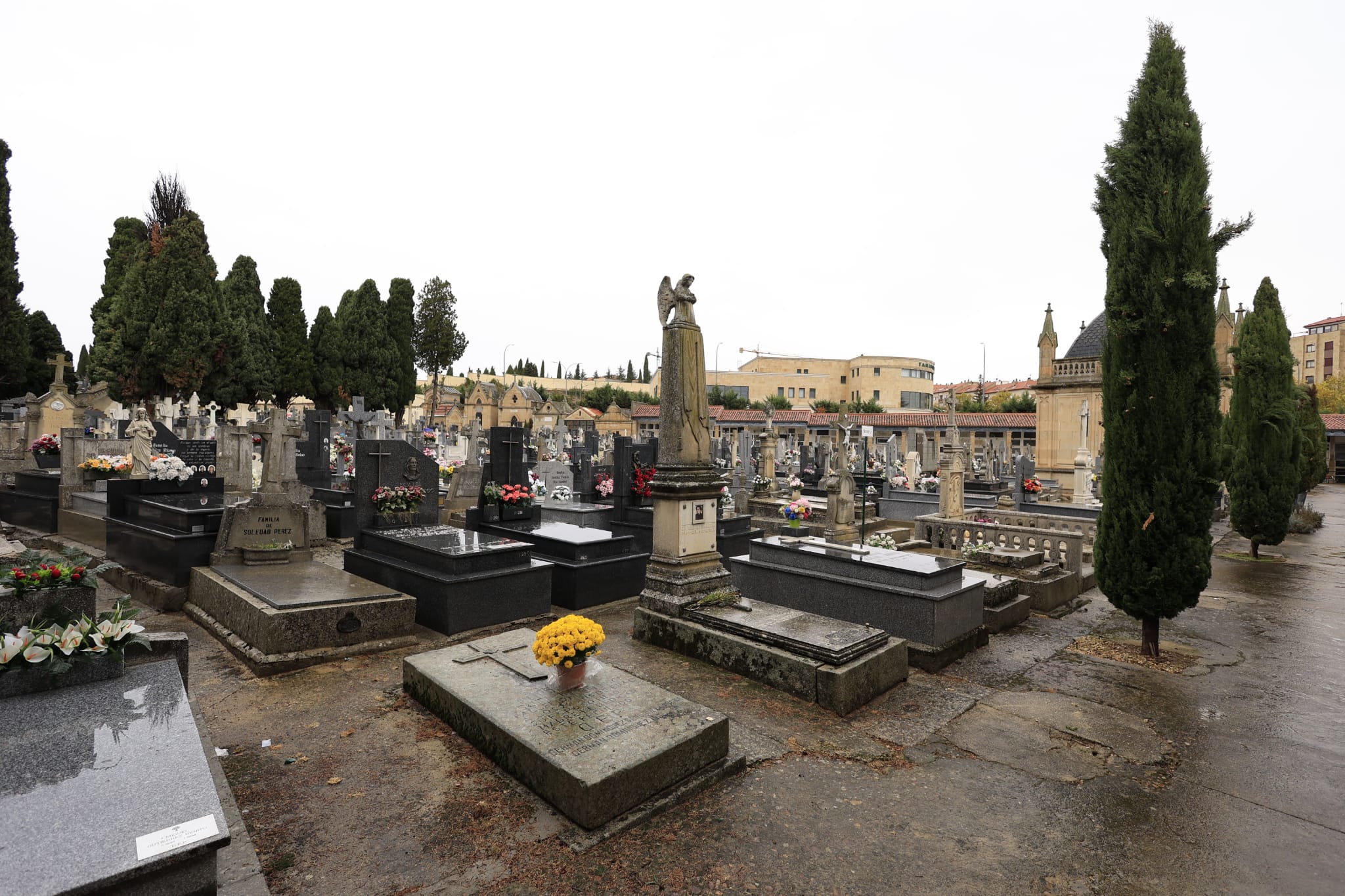 El día de Todos los Santos se celebra bajo el paraguas en Salamanca