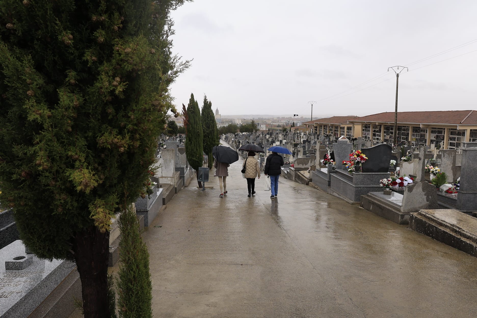 El día de Todos los Santos se celebra bajo el paraguas en Salamanca