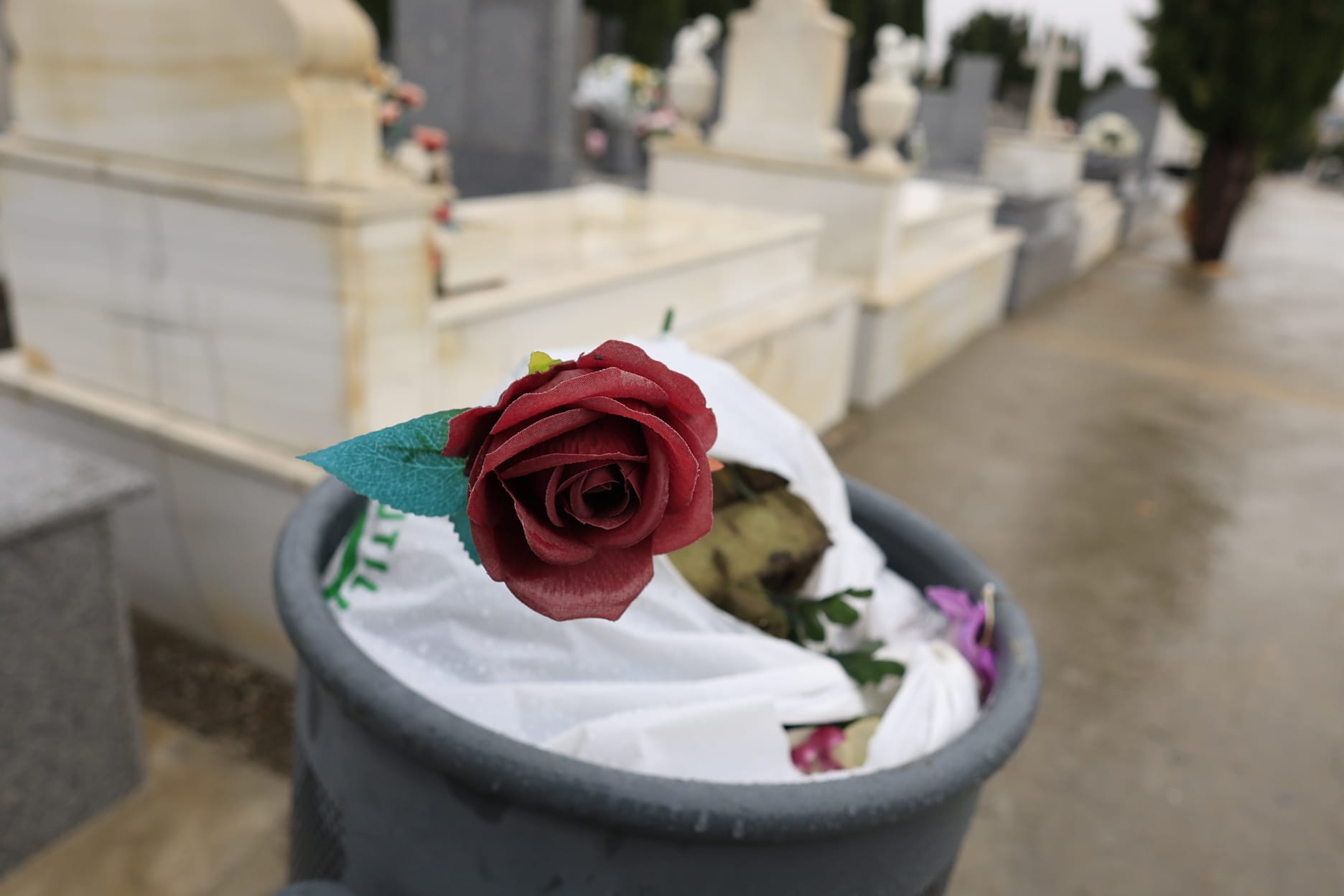 El día de Todos los Santos se celebra bajo el paraguas en Salamanca