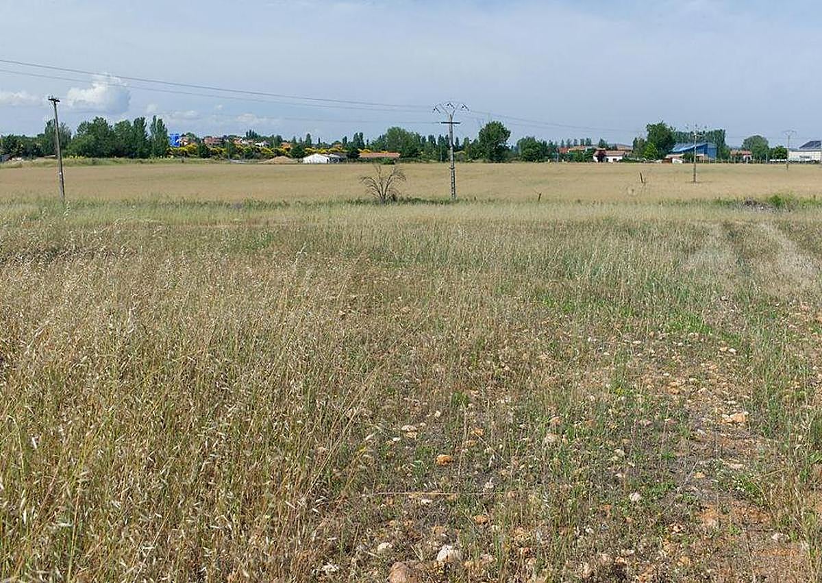 Imagen secundaria 1 - La parcela tiene acceso por la carretera nacional y da a la autovía en su extremo sur.