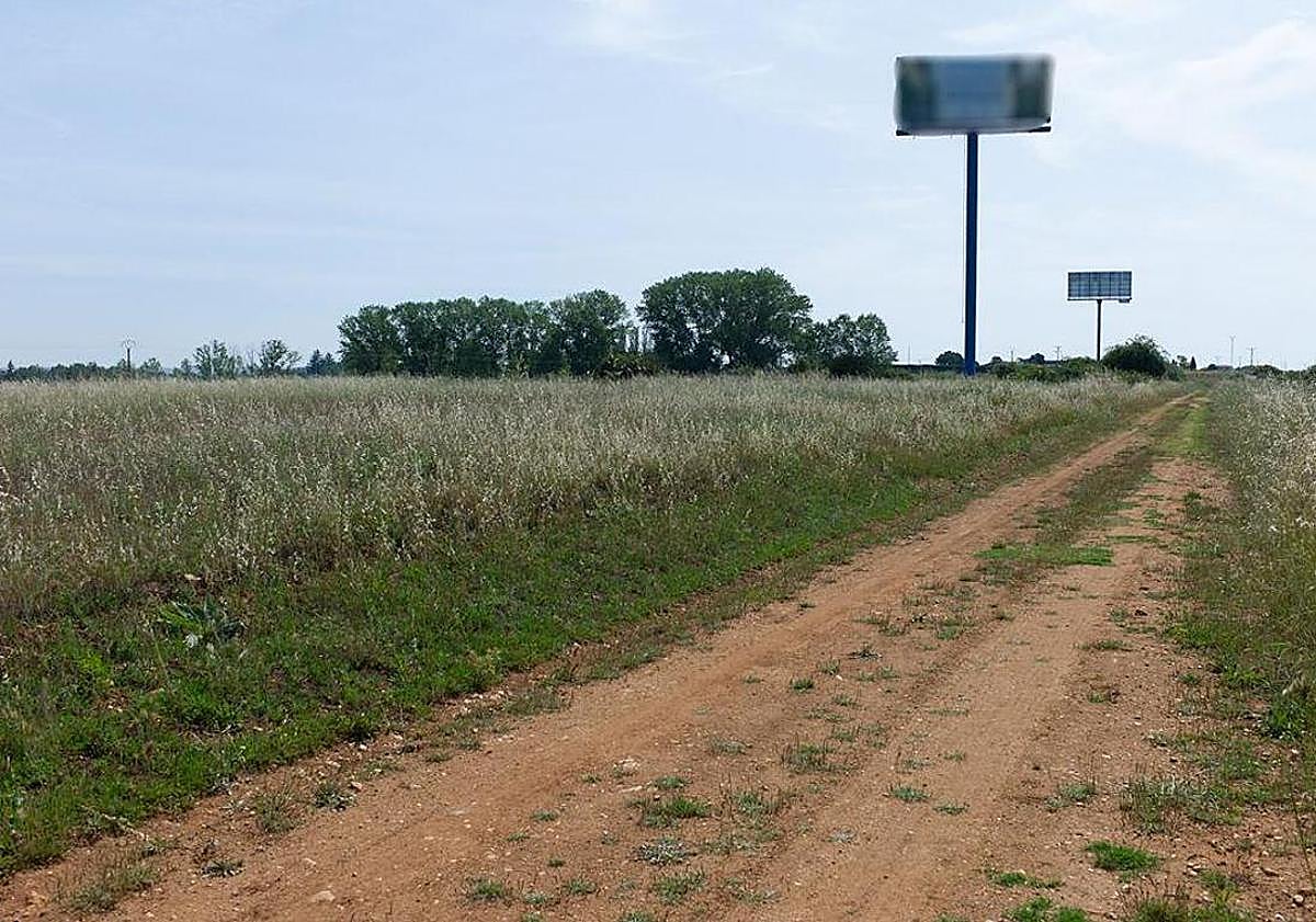 Imagen principal - La parcela tiene acceso por la carretera nacional y da a la autovía en su extremo sur.