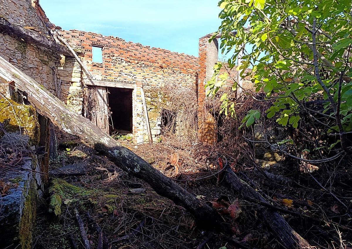 Imagen secundaria 1 - Uno de los muros supervivientes, el antiguo corral y el huerto.