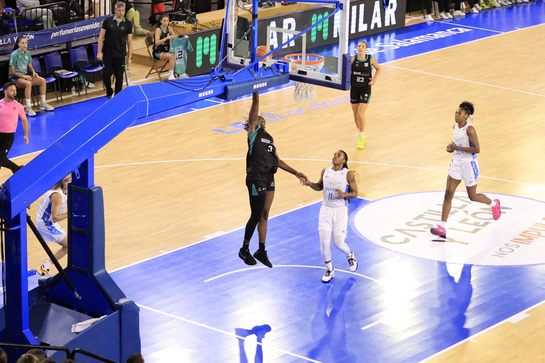 El Avenida-Estepona, en imágenes