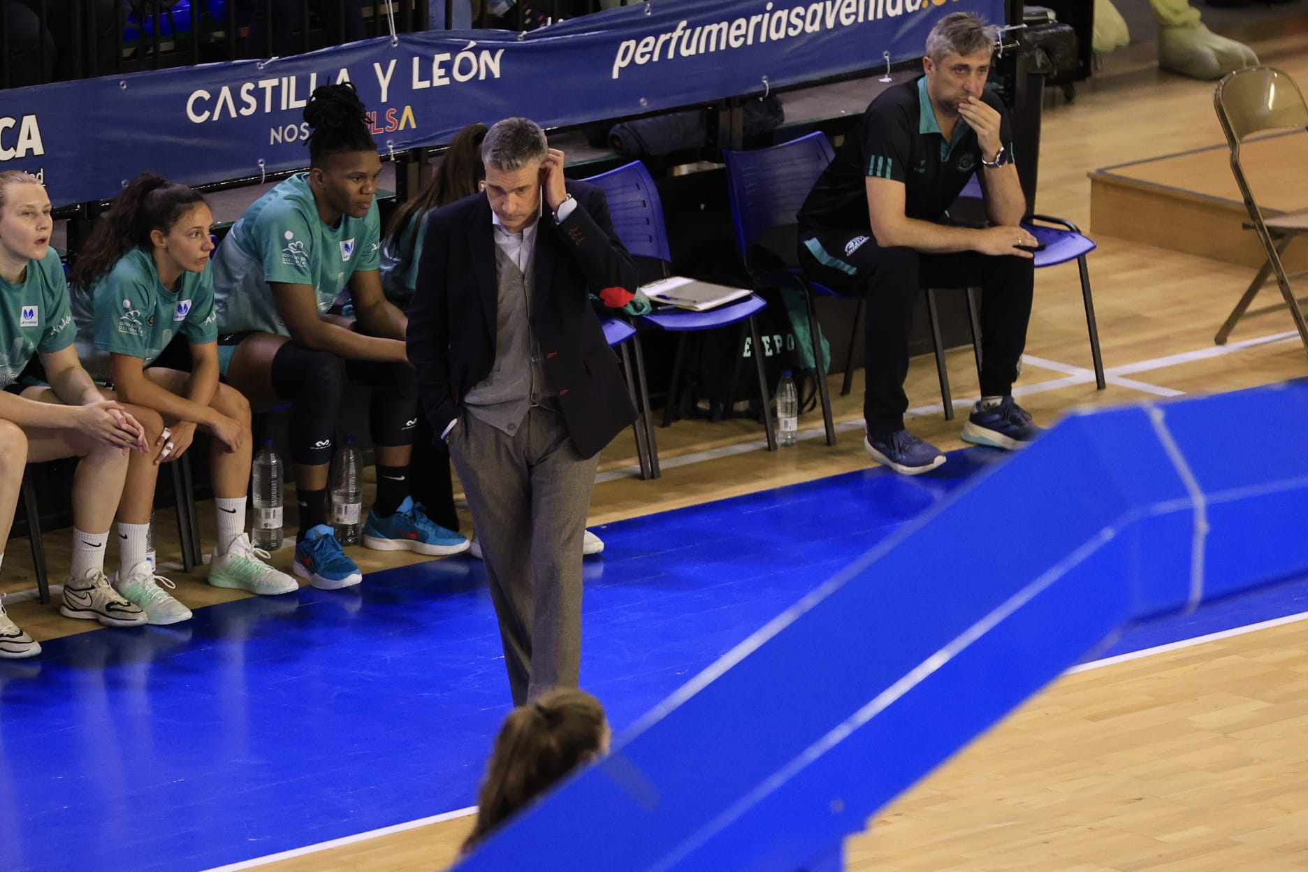 El Avenida-Estepona, en imágenes