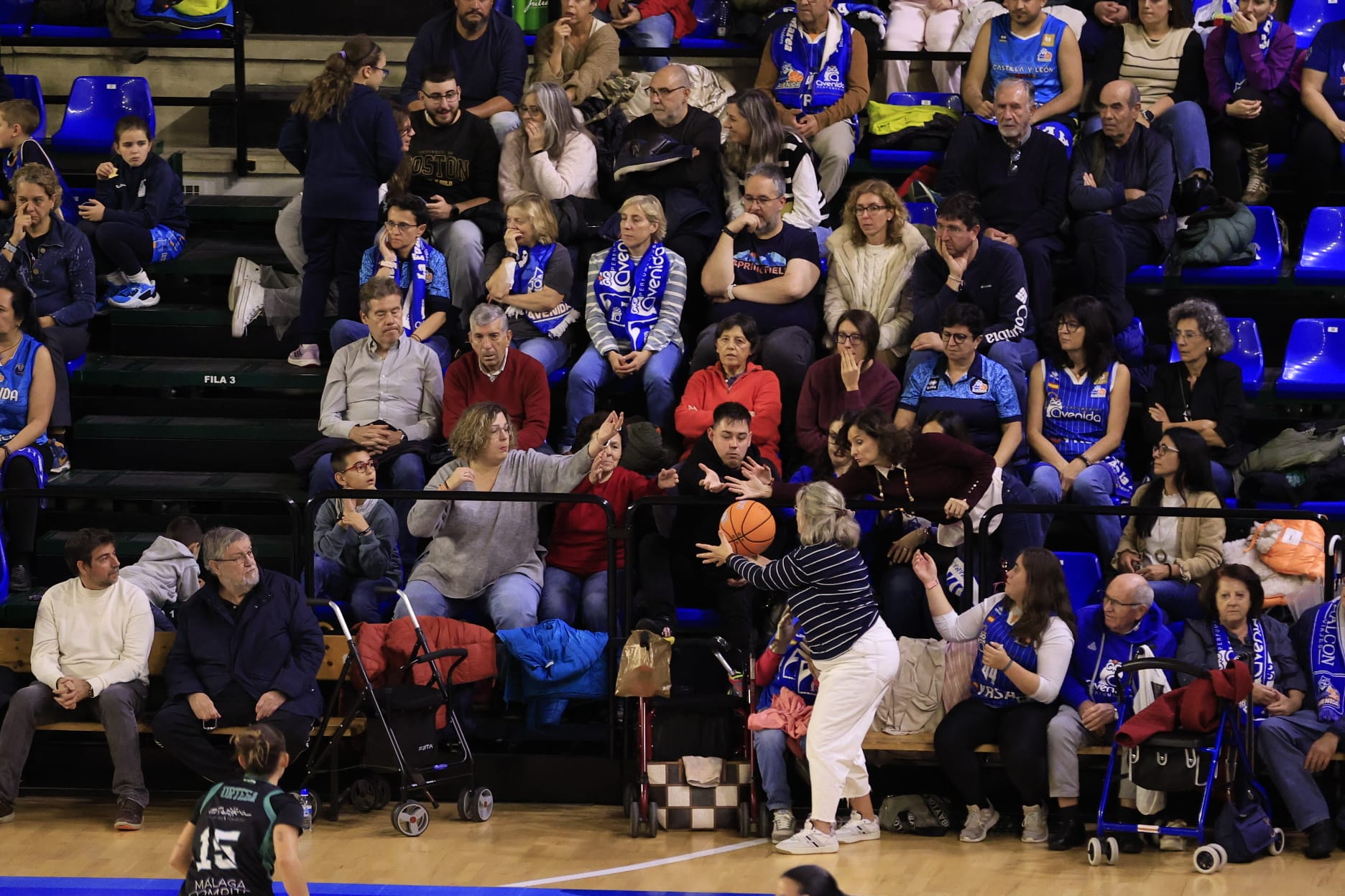 El Avenida-Estepona, en imágenes