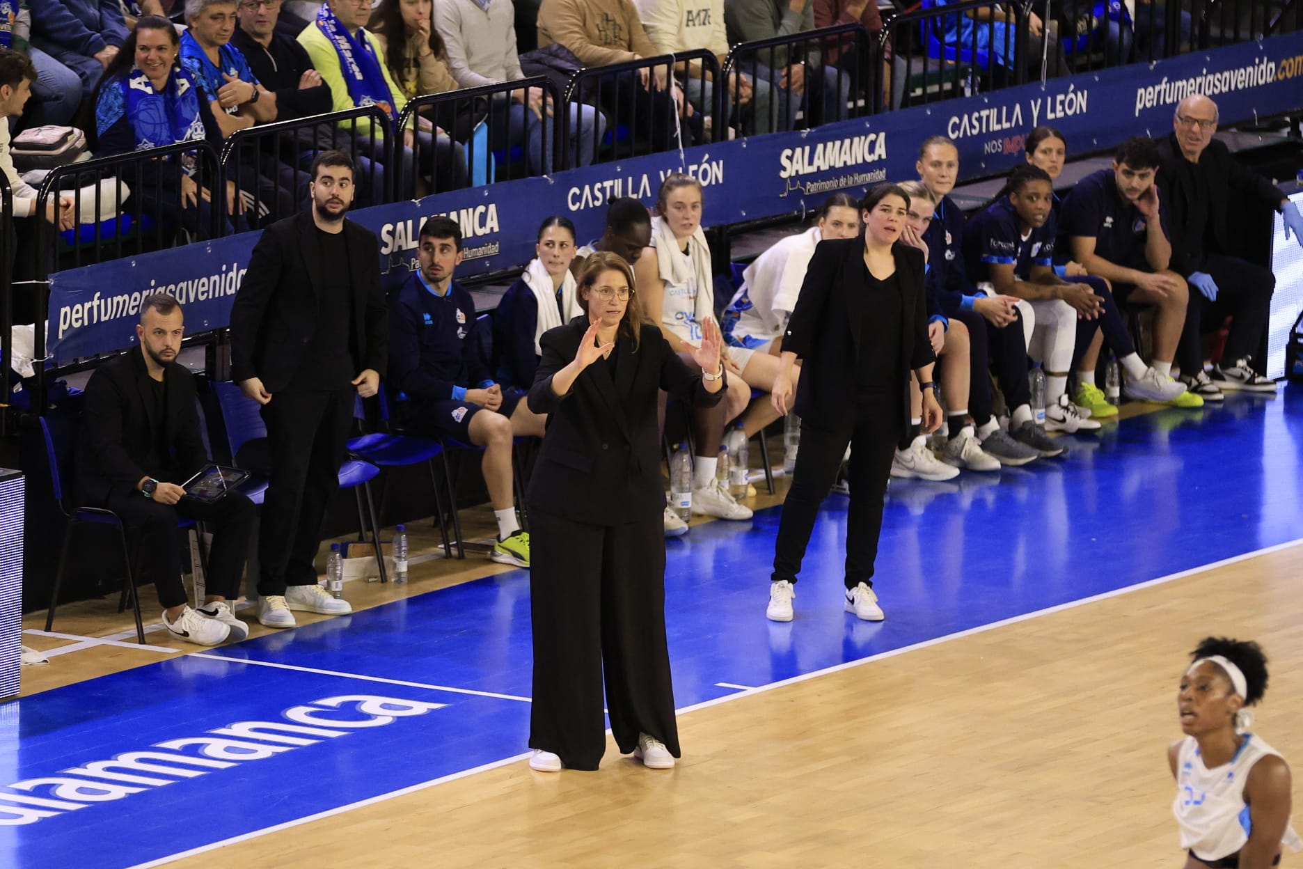 El Avenida-Estepona, en imágenes