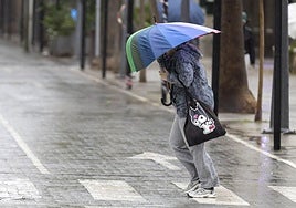 Una mujer se protefe del viento y la lluvia con el paraguas.