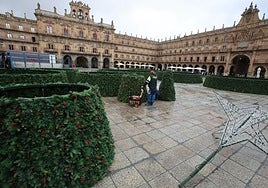 Montaje del árbol de Navidad en la Plaza Mayor.