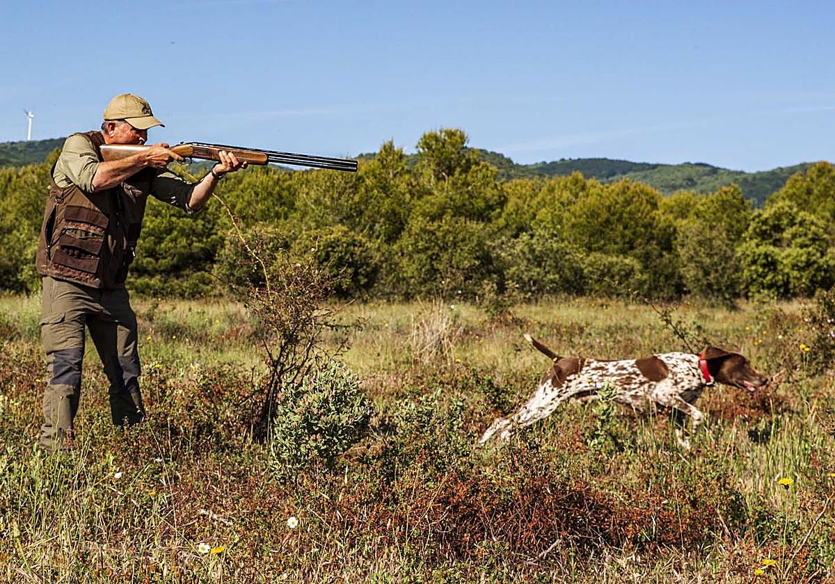 Un cazador practica caza menor con perro.