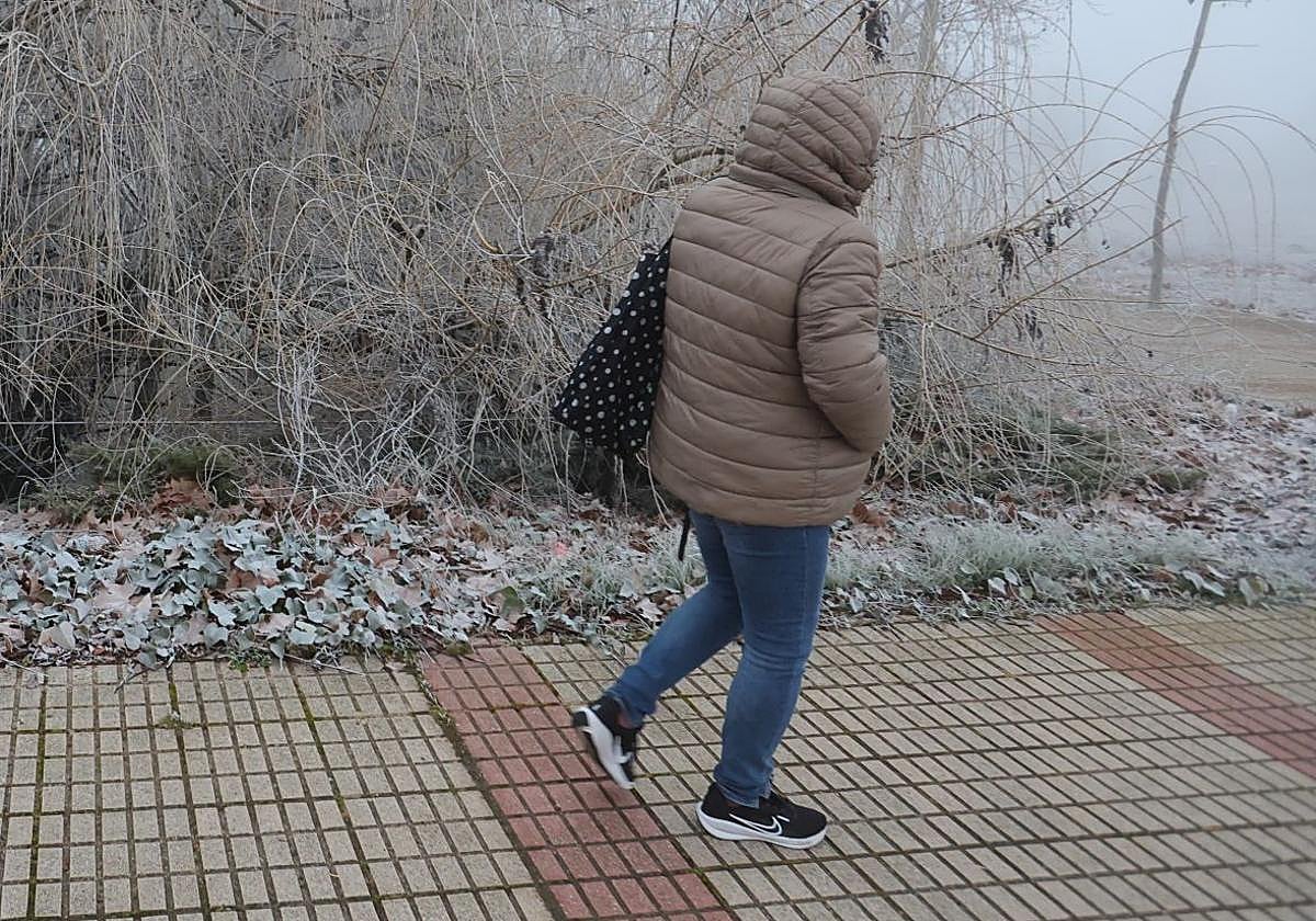 Una persona pasea por Salamanca en un día de mucho frío en una imagen de archivo.