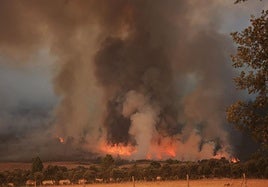Incendio forestal en una finca de pastos.