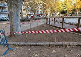 El pequeño jardín creado en la zona que se encharcaba.