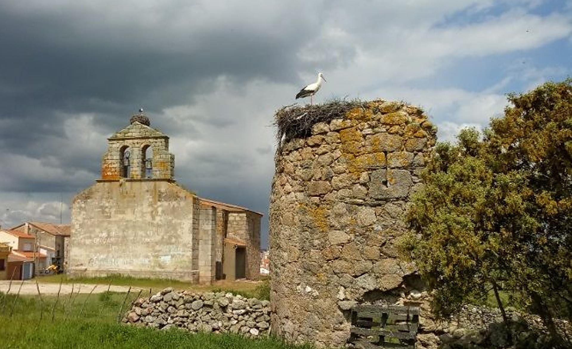 Scroll Story imagen 0