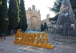 El montaje de los adornos y el mercado navideño de Salamanca, en imágenes