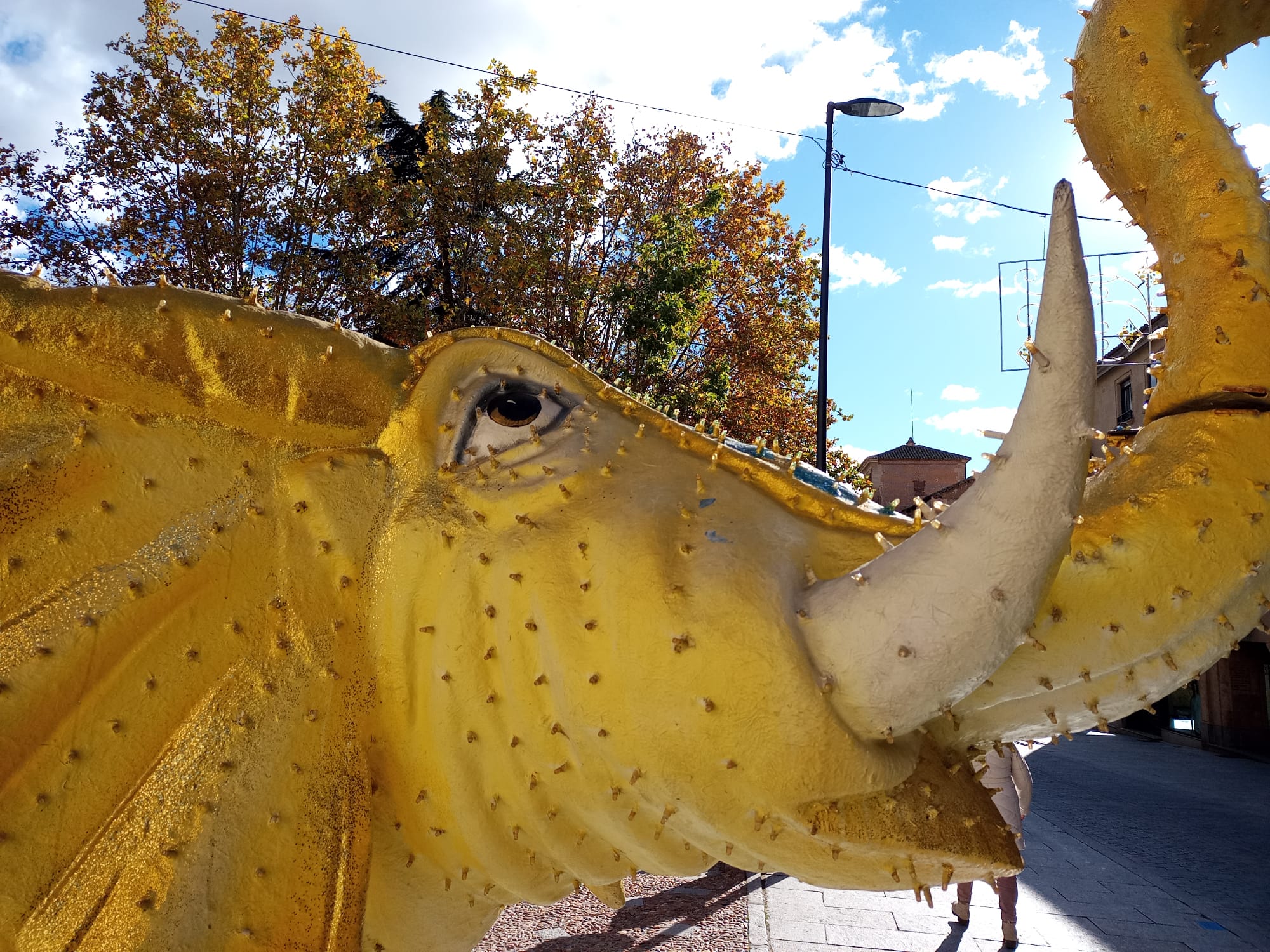El montaje de los adornos y el mercado navideño de Salamanca, en imágenes