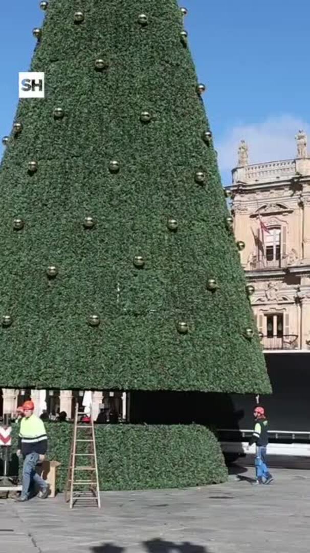 Colocación del árbol de Navidad en la Plaza Mayor de Salamanca