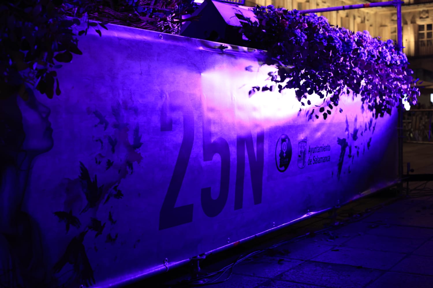 Con el lema &#039;El machismo nos cuesta la vida&#039;, Salamanca clama contra la violencia de género