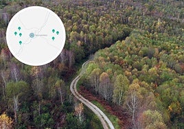 Localización del monte de robles de Navasfrías.