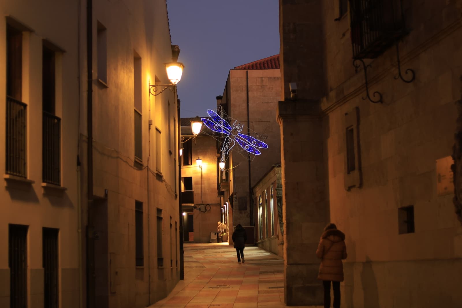 La Navidad ya deslumbra en Salamanca con luces, árbol y videomapping