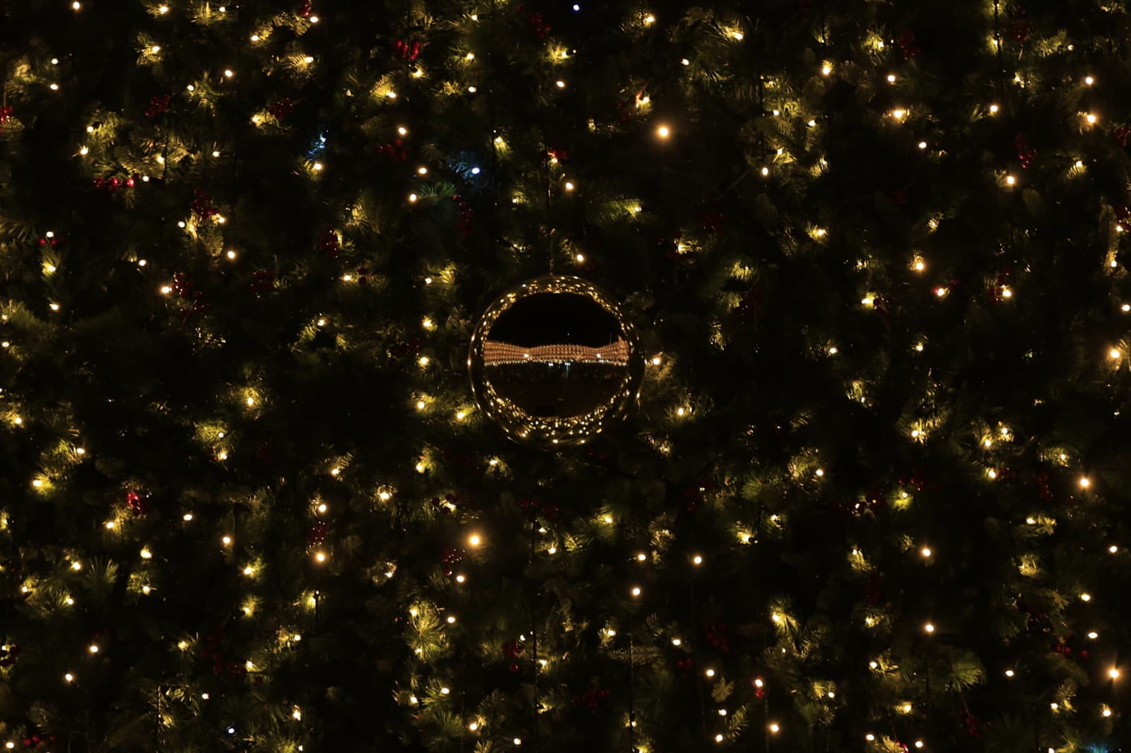 La Navidad ya deslumbra en Salamanca con luces, árbol y videomapping