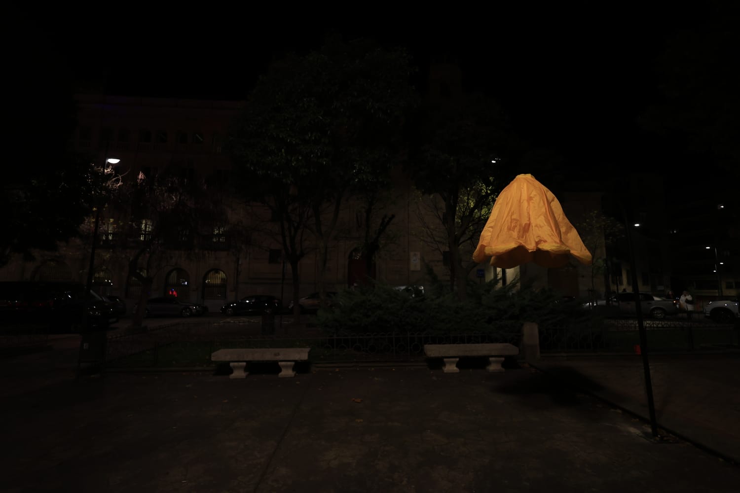 La Navidad ya deslumbra en Salamanca con luces, árbol y videomapping
