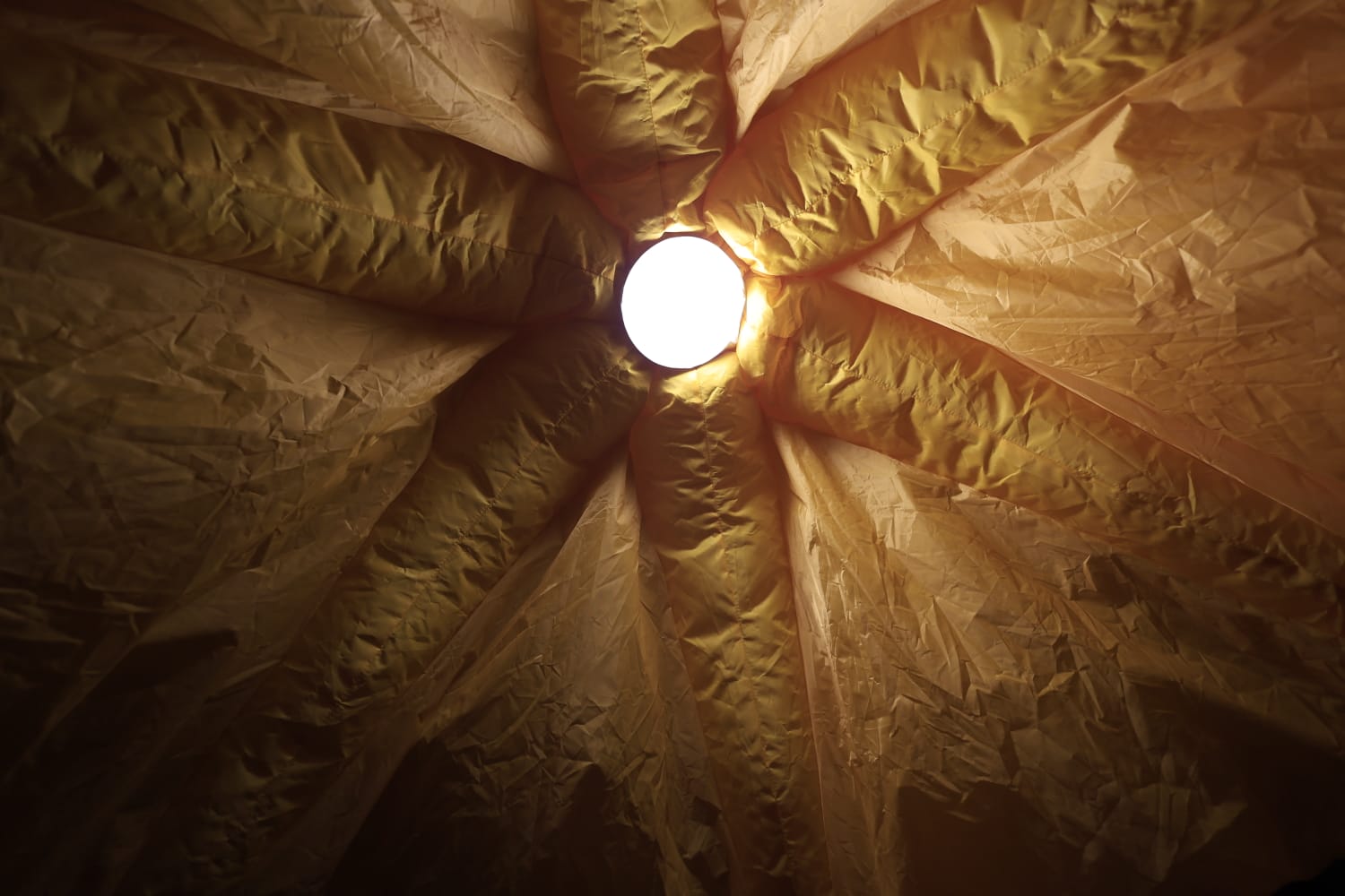 La Navidad ya deslumbra en Salamanca con luces, árbol y videomapping