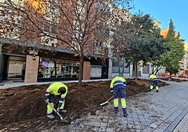 Varios trabajadores municipales, en las obras de la calle Gütenberg.