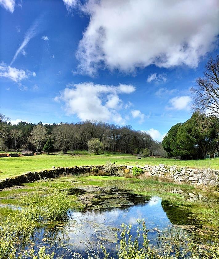 Imagen secundaria 2 - La lujosa casa rural en venta en un pueblo de Salamanca que es una inversión con estanque y finca