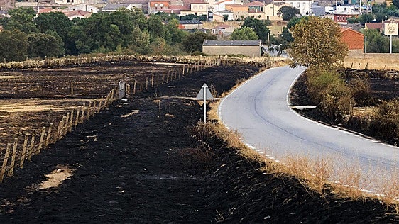 Salamanca registra casi 100 fuegos en 2026 pero sofoca el 95% antes de superar las cinco hectáreas