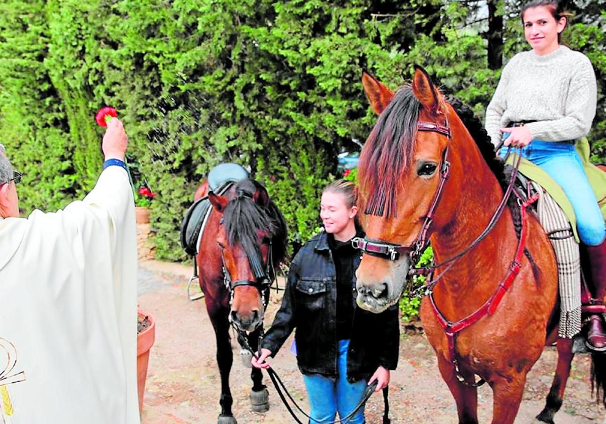 An San Antón kann man jede Art von Tieren segnen lassen..