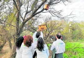 Das Anbringen von Nistkästen ist eine der Aktivitäten.