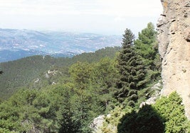 Die Sierra de las Nieves bietet eine Vielzahl an Wanderrouten.