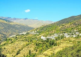 Die Dörfer Bubión und Capileira mit den Gipfeln der Sierra Nevada im Hintergrund.
