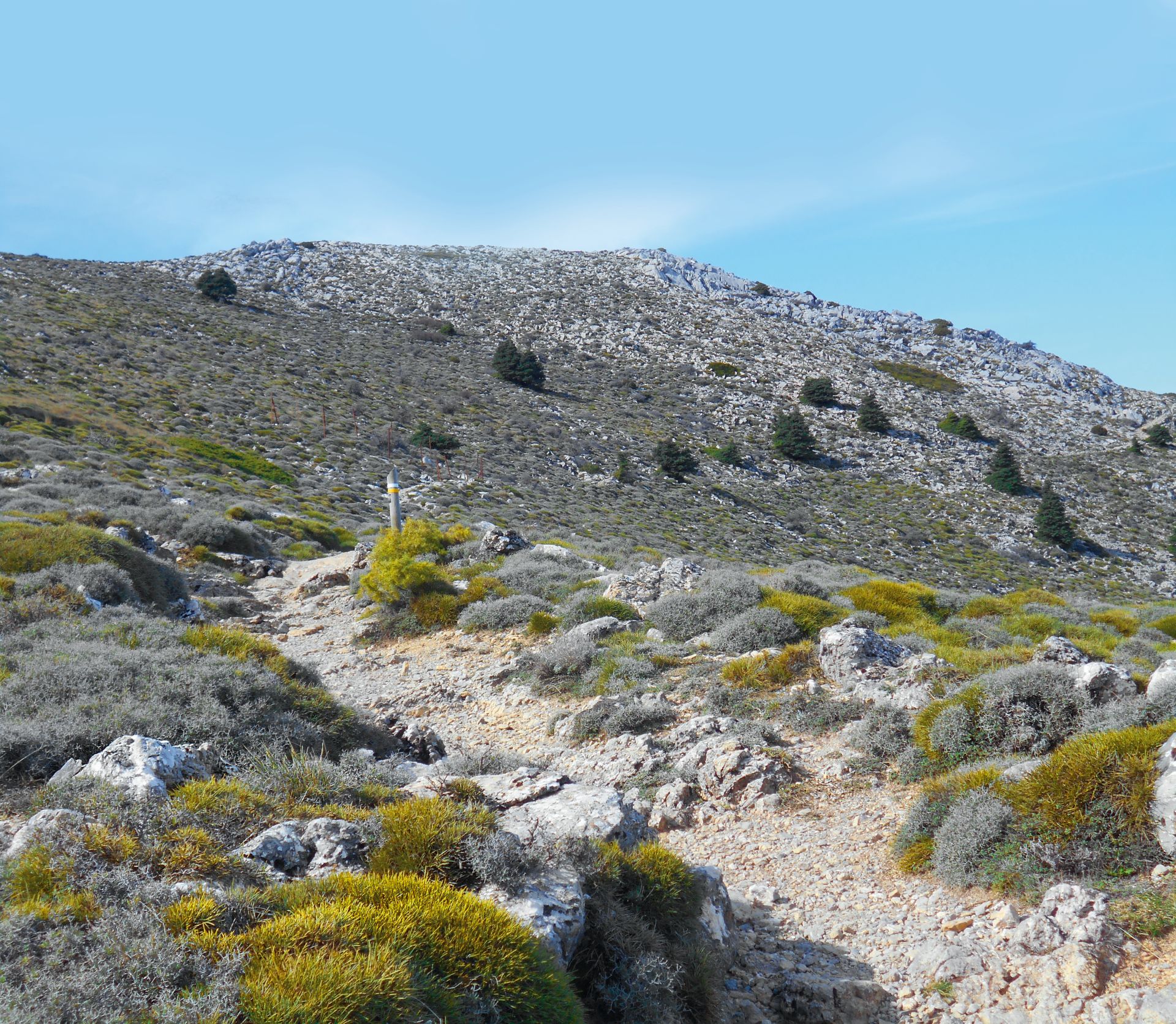 Tour zum höchsten Gipfel der Provinz Málaga