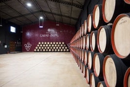 Blick in die Bodegas Carpe Diem der Kooperative Virgen de la Oliva in Mollina.