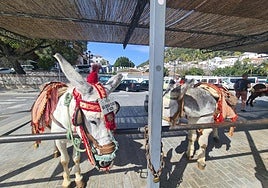 Eseltaxi auf der Plaza Virgen de la Peña in Mijas Pueblo.