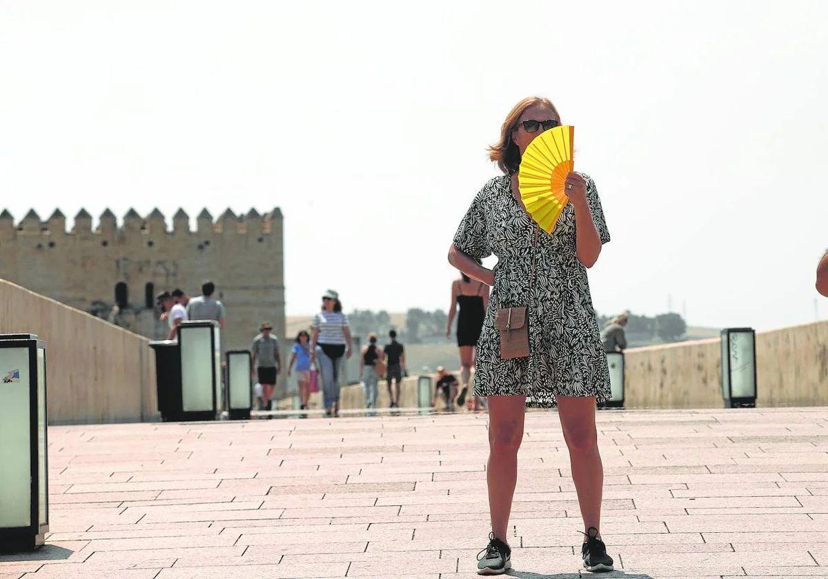 Höchsttemperaturen von 42 Grad Celsius: Aemet gibt die erste Hitzewarnung des Jahres für Andalusien heraus