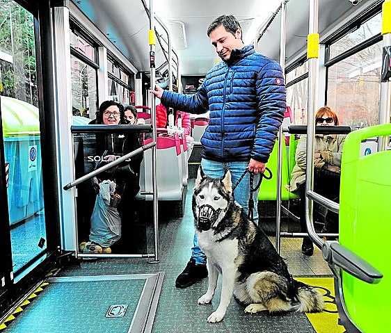 Nur in wenigen Transportmitteln können Hunde ohen Trasportbox mitgeführt werden.