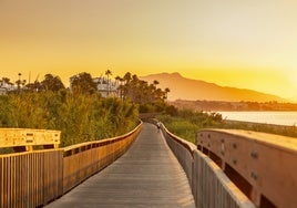 Eine der Brücken der Senda Litoral in Estepona.