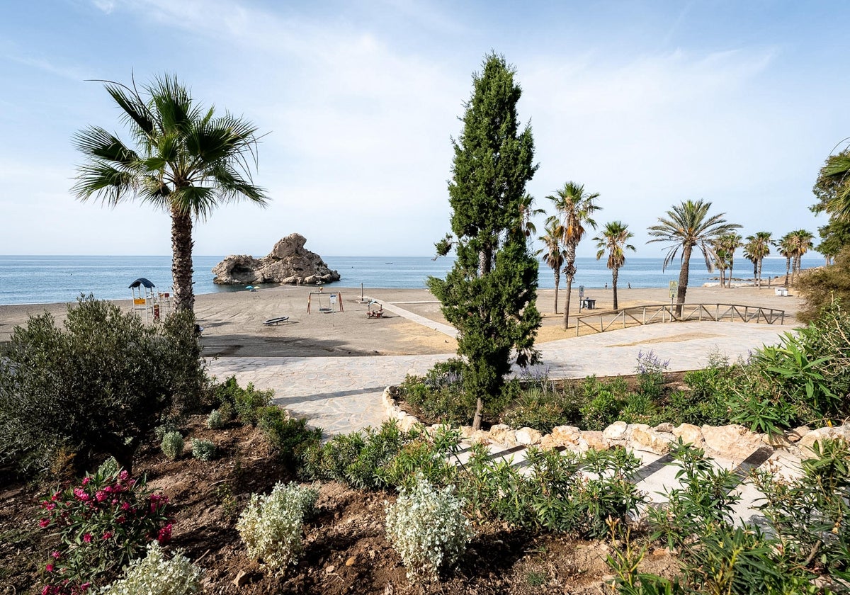 Am Strand von Peñon del Cuervo werden erstmals kürzlich gepflanzte Bäume und Sträucher mit aufbereitetem Wasser versorgt.