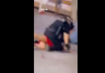 Die Schlägerei war spektakulär - auch die Polizisten schlugen kräftig zu.