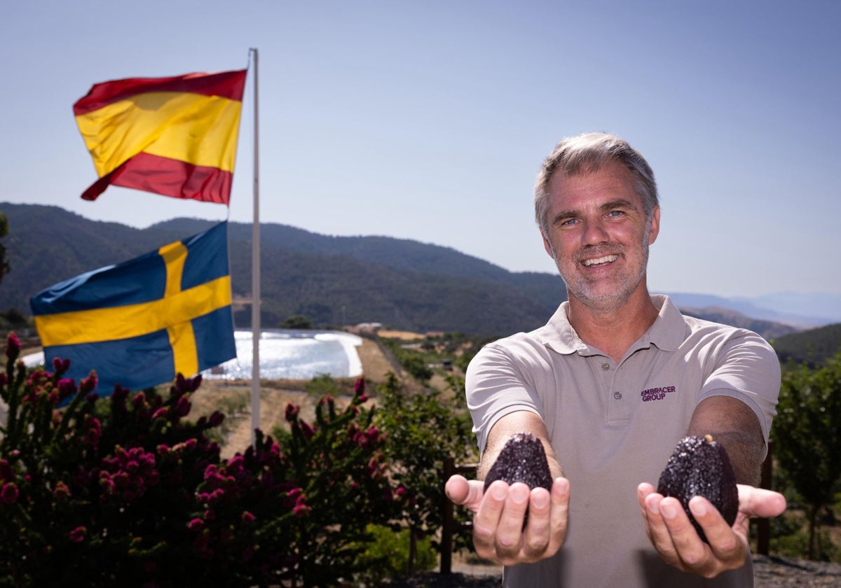 Pelle Lundborg zeigt auf seinem Hof Solmark in Carratraca frisch geerntete Avocados.