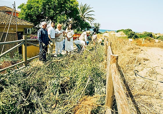Intensive Naturschutzarbeit im ökologischen Reservat Dunas de Marbella.