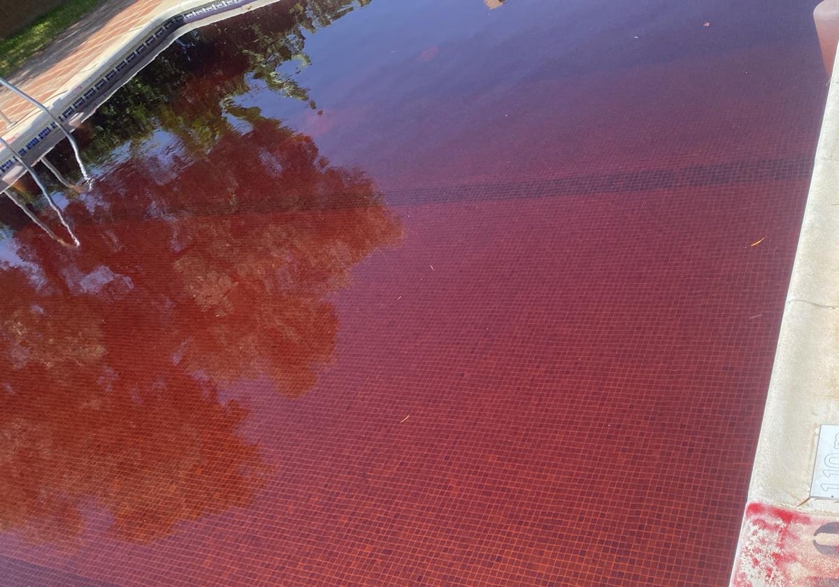 Das Schwimmbecken mit rot gefärbtem Wasser..